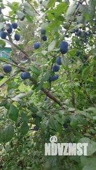 Дом 21м², 1-этажный, участок 10 сот.