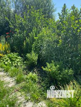 Дом 35м², 1-этажный, участок 4 сот.