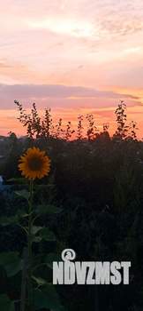 Дом 15м², 1-этажный, участок 5 сот.