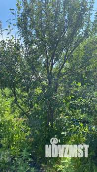 Дом 35м², 1-этажный, участок 4 сот.