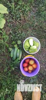 Дом 15м², 1-этажный, участок 5 сот.