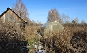 Дом 35м², 1-этажный, участок 12 сот.
