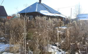 Дом 35м², 1-этажный, участок 12 сот.