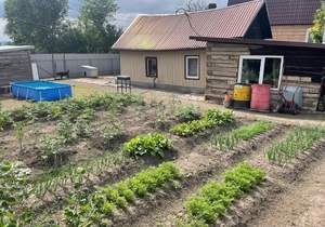 Дом 42м², 1-этажный, участок 12 сот.