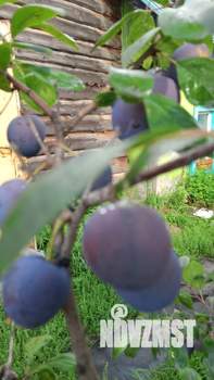 Дом 21м², 1-этажный, участок 10 сот.