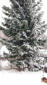 Дом 21м², 1-этажный, участок 10 сот.