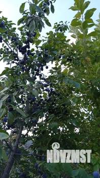 Дом 20м², 2-этажный, участок 5 сот.