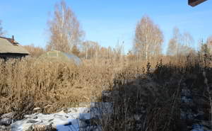 Дом 35м², 1-этажный, участок 12 сот.