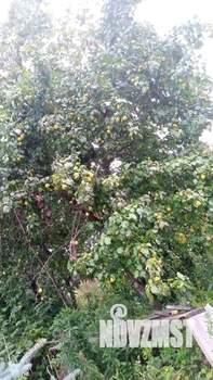 Дом 20м², 2-этажный, участок 5 сот.