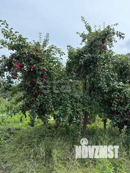 Дом 42м², 1-этажный, участок 7 сот.