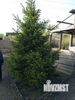 Дом 58м², 1-этажный, участок 10 сот.