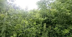 Дом 37м², 1-этажный, участок 10 сот.