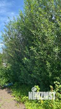 Дом 35м², 1-этажный, участок 4 сот.