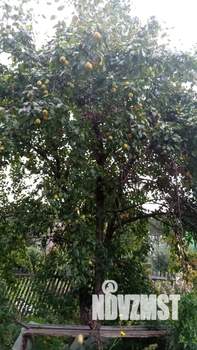 Дом 20м², 2-этажный, участок 5 сот.