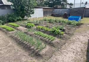 Дом 42м², 1-этажный, участок 12 сот.