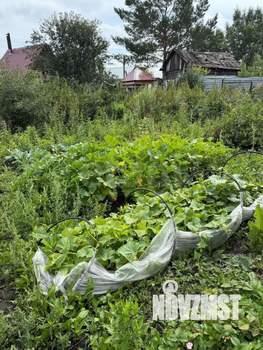 Дом 42м², 1-этажный, участок 7 сот.