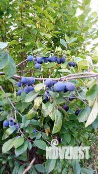 Дом 20м², 2-этажный, участок 5 сот.