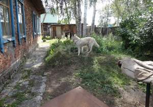 Дом 66м², 1-этажный, участок 9 сот.