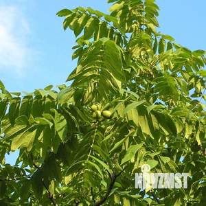 Дом 15м², 1-этажный, участок 5 сот.