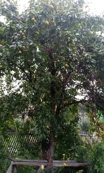 Дом 20м², 1-этажный, участок 5 сот.