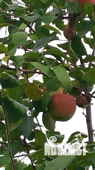 Дом 21м², 1-этажный, участок 10 сот.