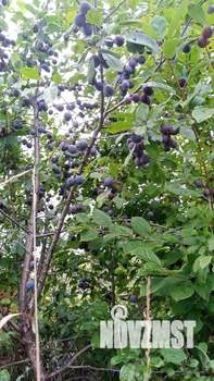 Дом 20м², 2-этажный, участок 5 сот.