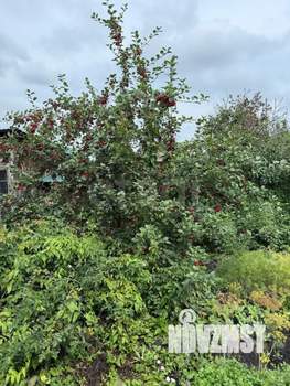 Дом 42м², 1-этажный, участок 7 сот.