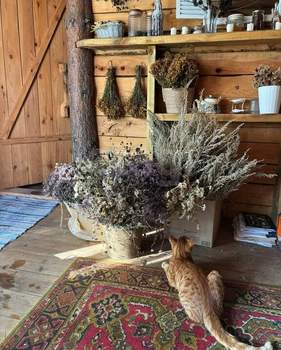 Дом 88м&sup2;, 2-этажный, участок 10 сот.  