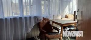 Дом 52м&sup2;, 2-этажный, участок 8 сот.  