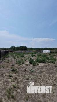Коттедж 145м², 1-этажный, участок 6 сот.  