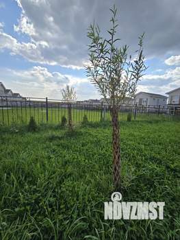 Коттедж 142м&sup2;, 2-этажный, участок 6 сот.  