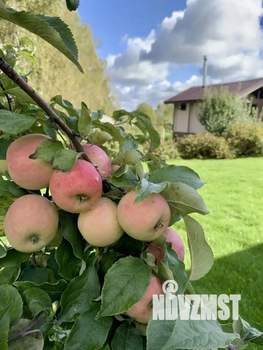 Коттедж 151м&sup2;, 2-этажный, участок 17 сот.  