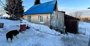 Дом 25м&sup2;, 1-этажный, участок 6 сот.  