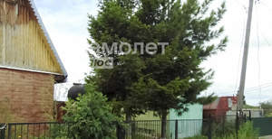 Дом 28м&sup2;, 2-этажный, участок 1 сот.  