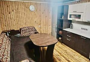 Дом 54м&sup2;, 2-этажный, участок 17 сот.  