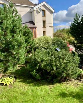 Дом 151м&sup2;, 2-этажный, участок 17 сот.  