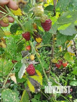 Дом 20м&sup2;, 1-этажный, участок 6 сот.  