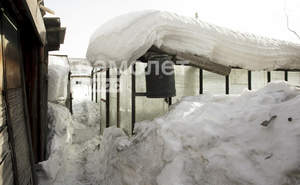 Дом 52м&sup2;, 1-этажный, участок 6 сот.  