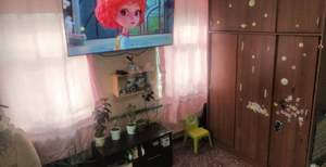 Дом 48м&sup2;, 1-этажный, участок 26 сот.  