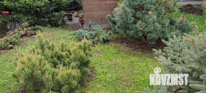 Дом 50м&sup2;, 1-этажный, участок 7 сот.  