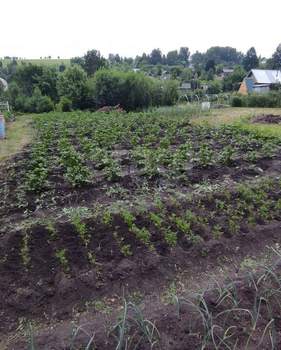 Дом 18м&sup2;, 2-этажный, участок 10 сот.  