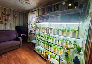 Дом 45м&sup2;, 1-этажный, участок 4 сот.  