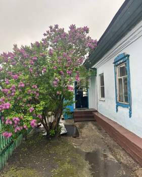 Дом 50м², 1-этажный, участок 5 сот.  