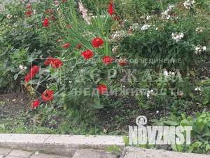 Дом 54м², 1-этажный, участок 3 сот.  