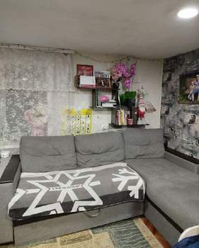 Дом 24м&sup2;, 1-этажный, участок 4 сот.  