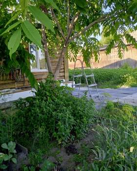 Дом 61м&sup2;, 1-этажный, участок 10 сот.  