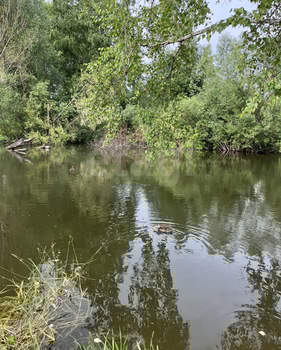 Дом 24м&sup2;, 2-этажный, участок 4 сот.  