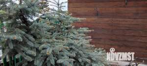 Дом 50м&sup2;, 1-этажный, участок 7 сот.  