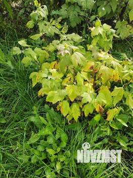 Дом 20м&sup2;, 1-этажный, участок 6 сот.  