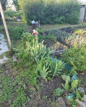 Дом 18м&sup2;, 2-этажный, участок 10 сот.  